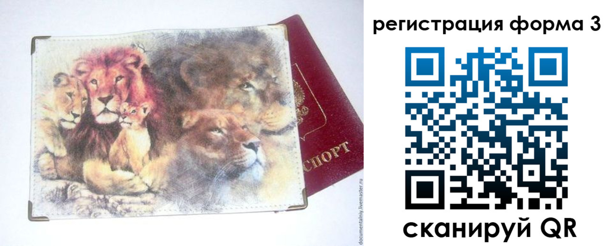 прописка в квартире в Болотном